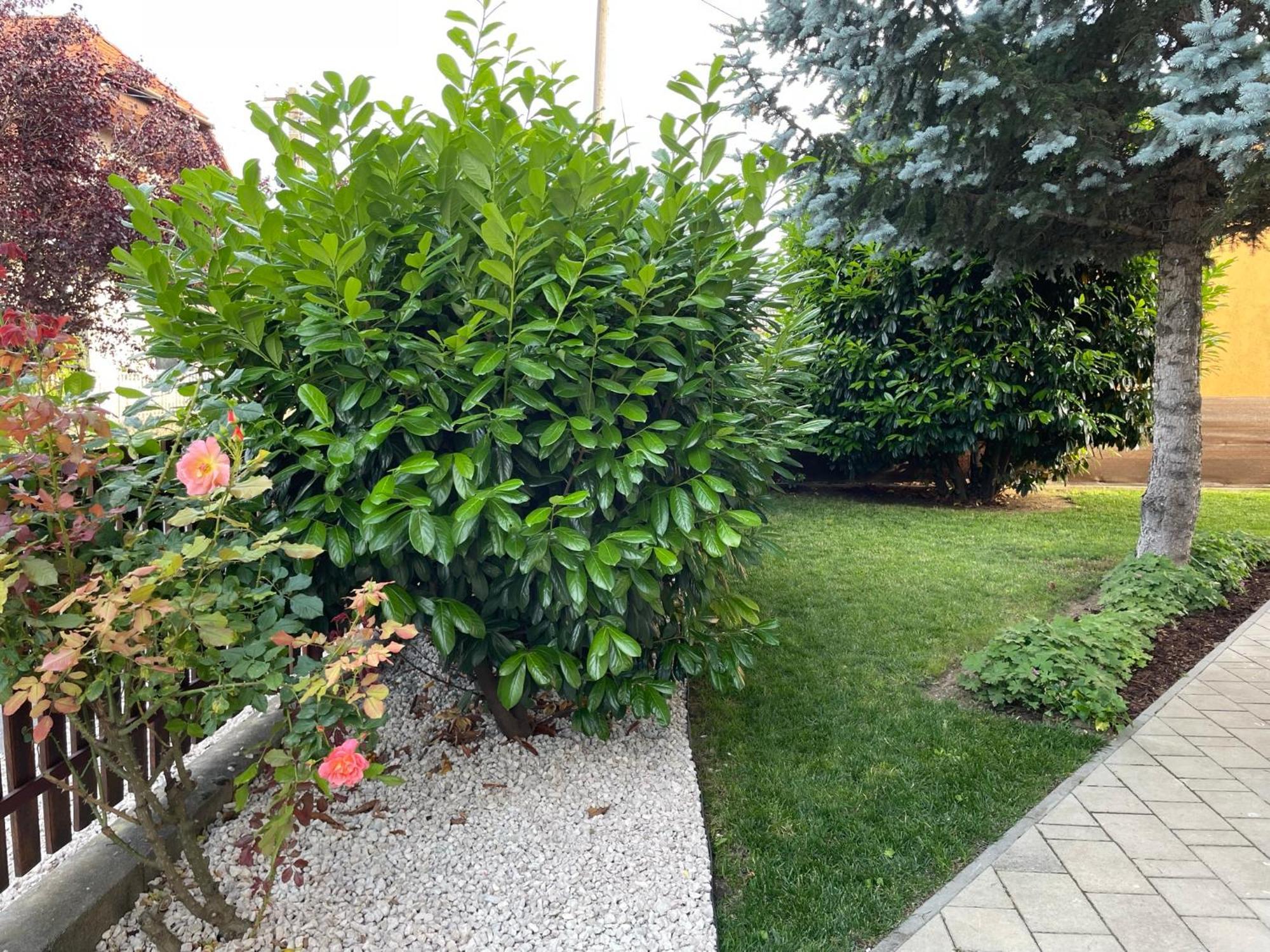 Villa Lili Balatonkeresztúr Esterno foto